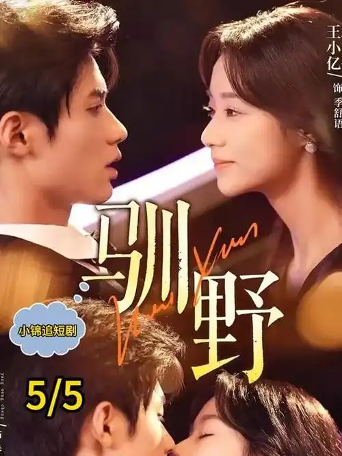 琪琪影院自然纪录片 极地日志 全集观看